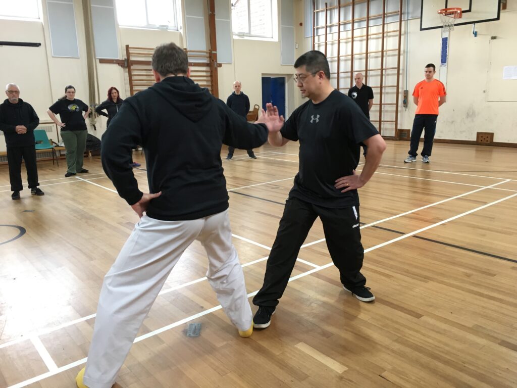 Tui Shou (Pushing Hands) Seminar with Michael Singleton, November 2017