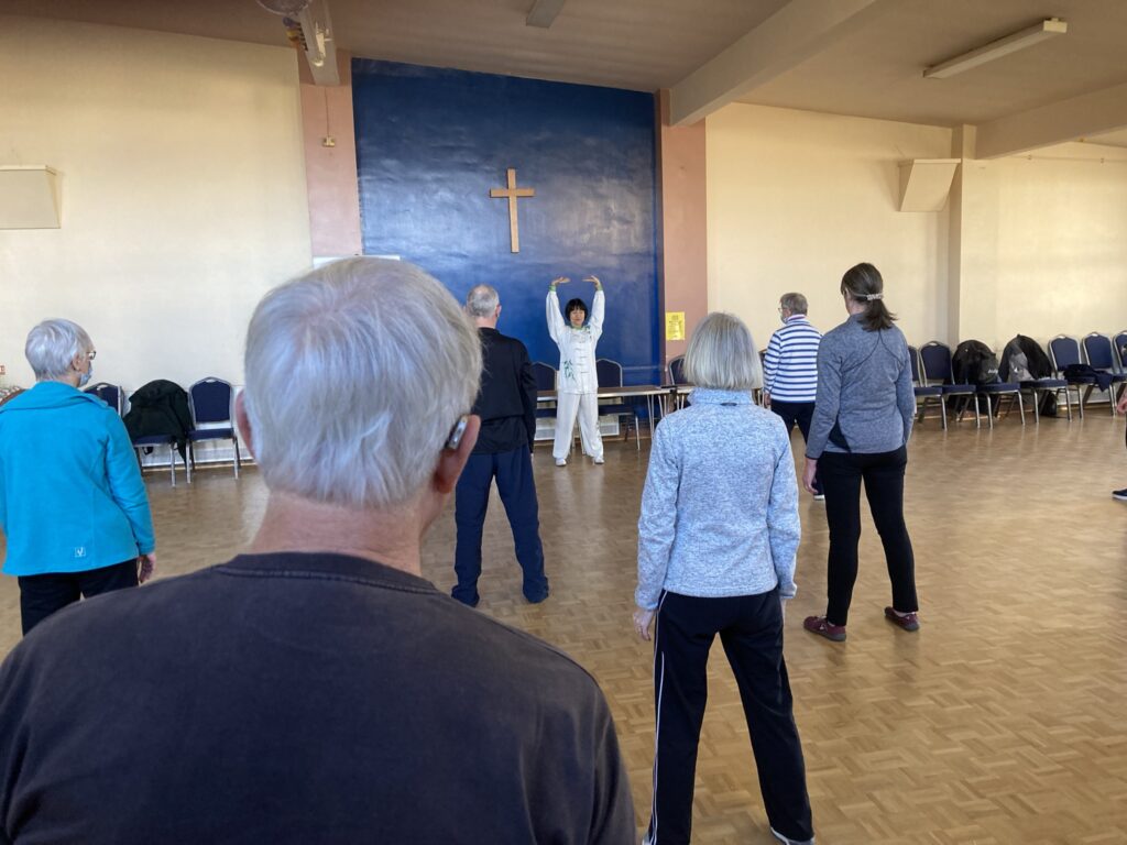 Yi Jin Jing Seminar with Feixia Yu, November 2021