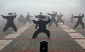 Wisconsin Tai Chi Academy -  Tai Chi & Qigong Could Help Prevent, Treat & Rehabilitate COVID-19