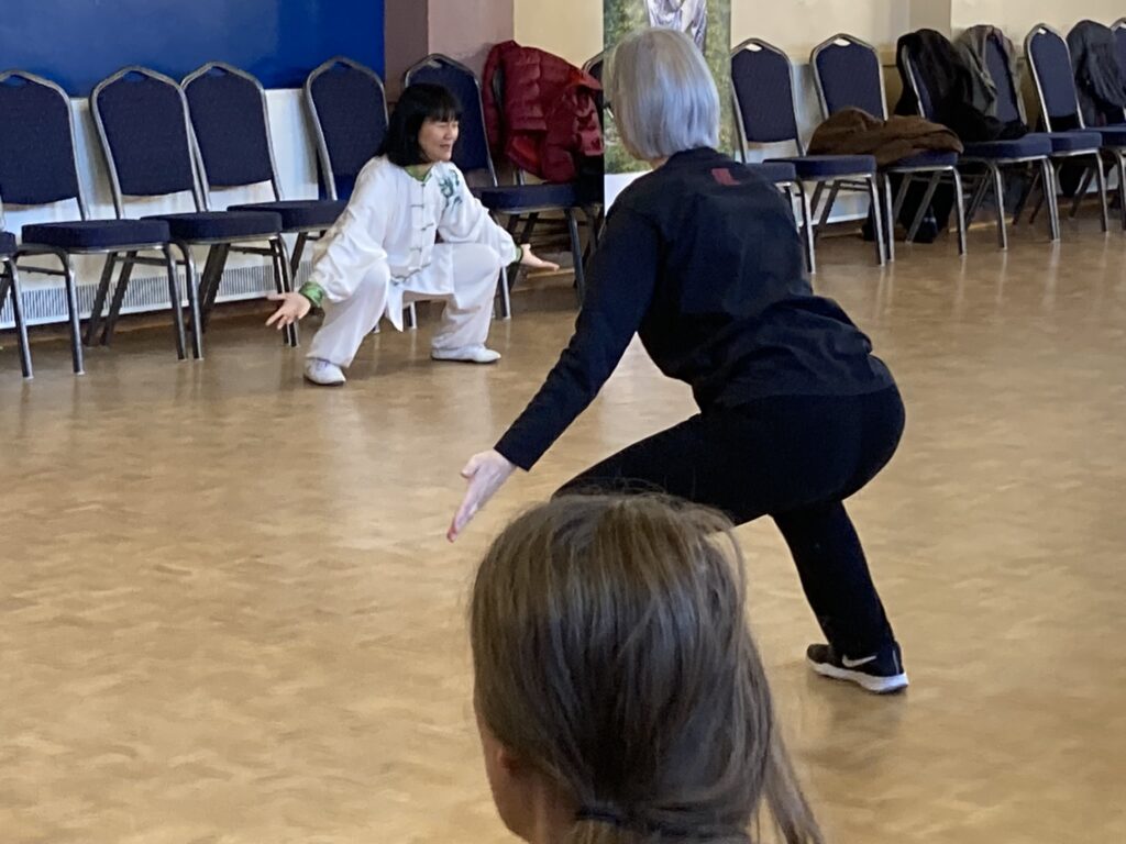 Daoyin Shu 12 Seminar with Feixia Yu, January 2023