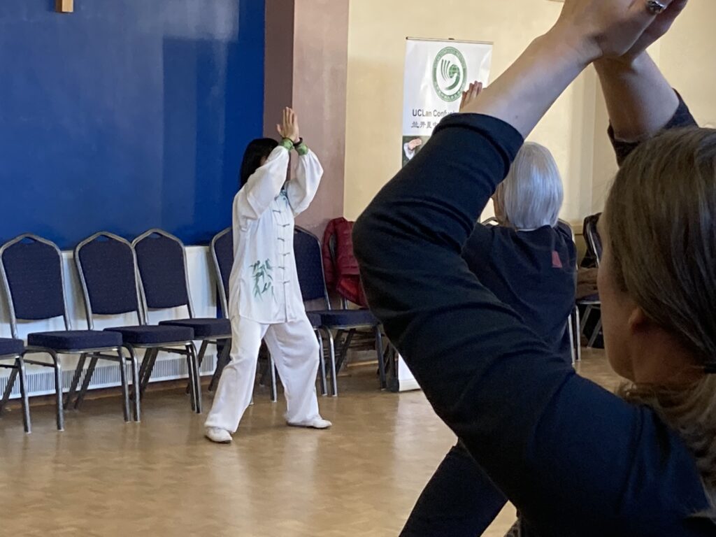 Daoyin Shu 12 Seminar with Feixia Yu, January 2023