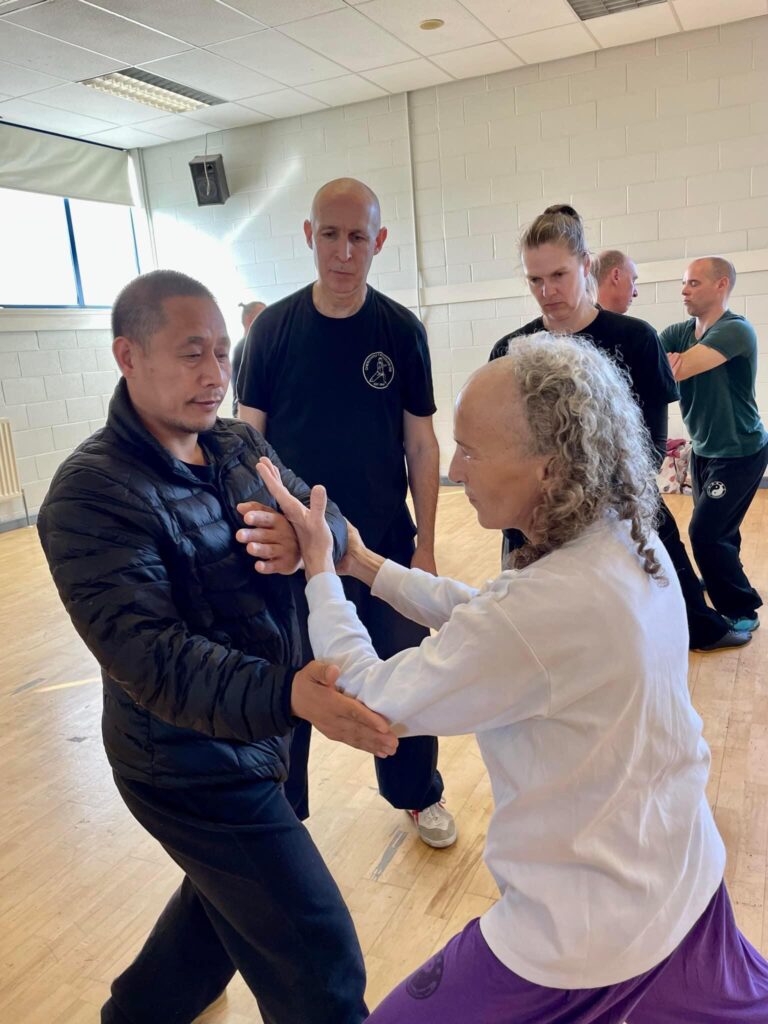 Tui Shou Tui Shou with Seminar Master Chen Ziqiang, March 2023