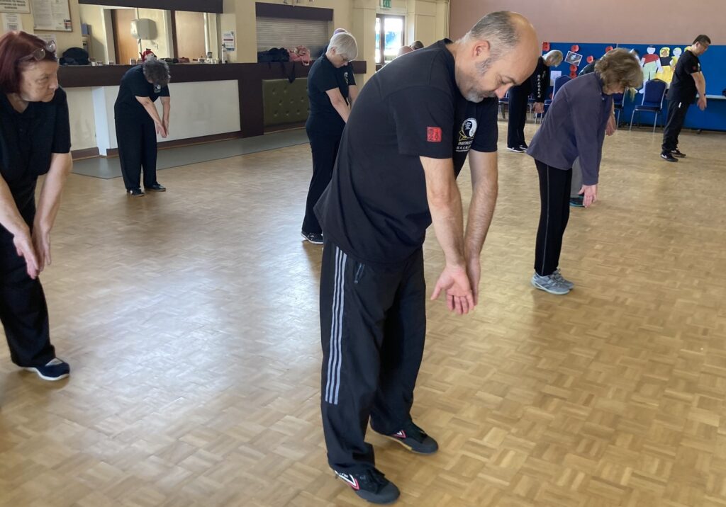 Mawangdui Daoyin Shu Seminar with Feixia Yu, October/November 2023