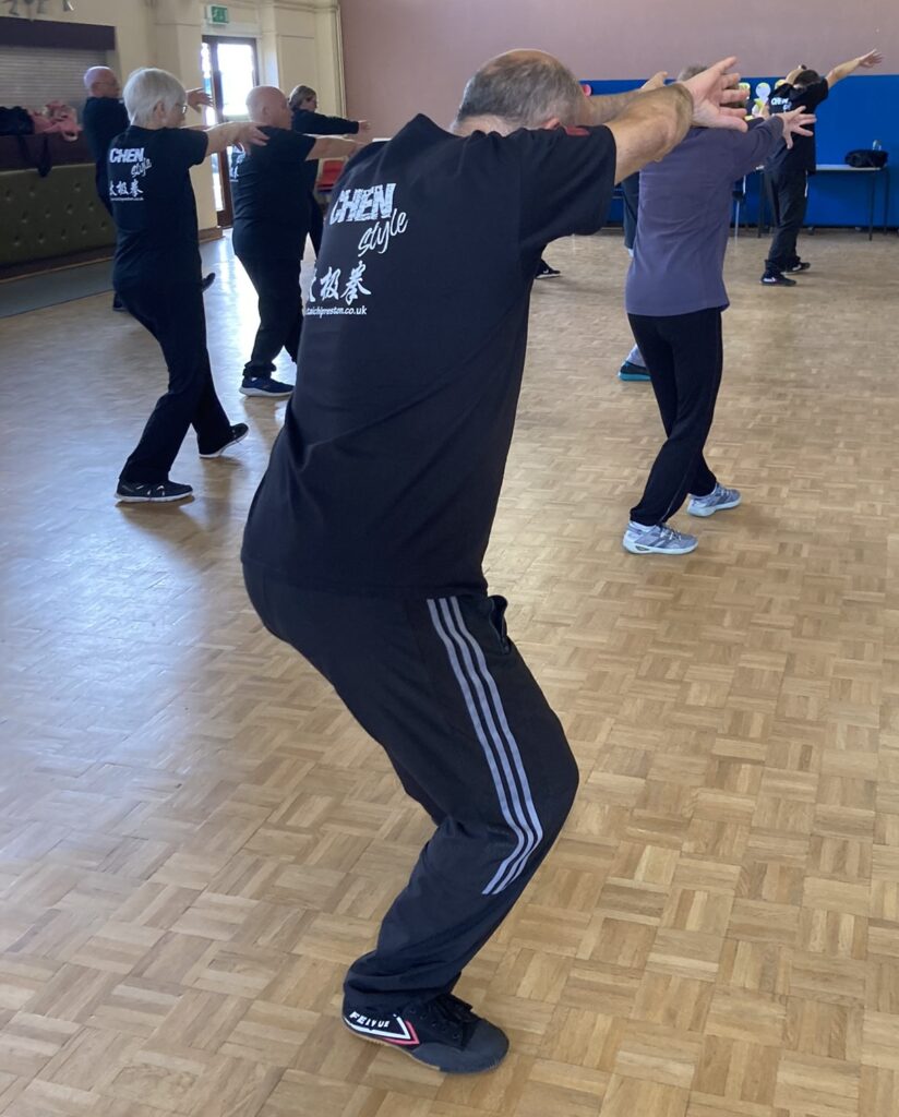 Mawangdui Daoyin Shu Seminar with Feixia Yu, October/November 2023