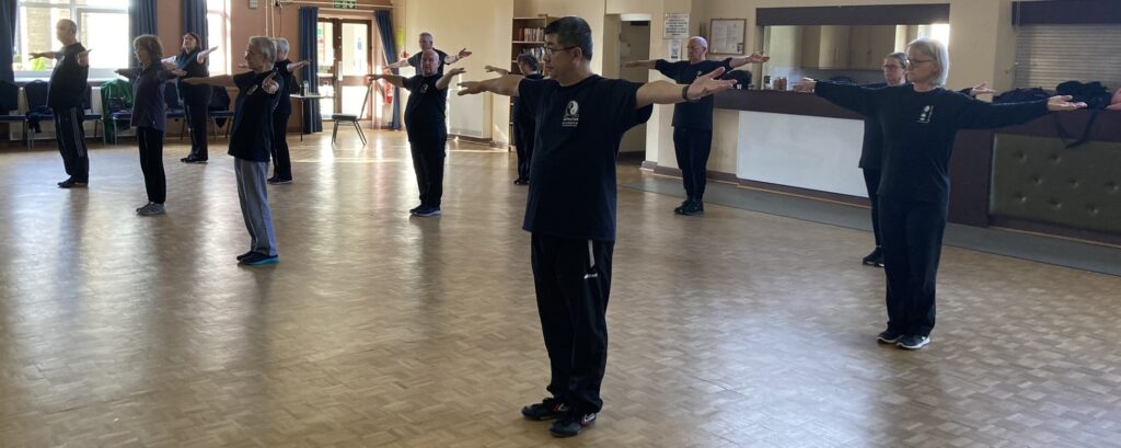 Mawangdui Daoyin Shu Seminar with Feixia Yu, October/November 2023