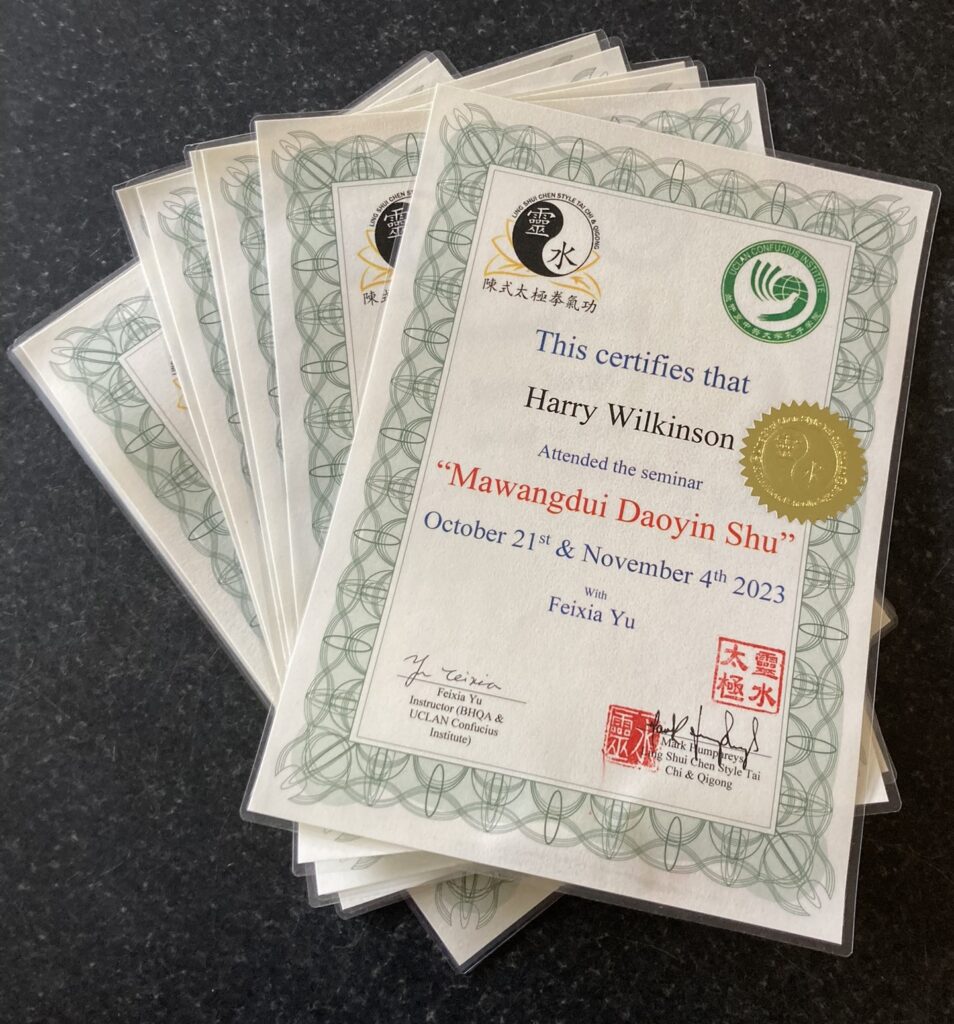 Mawangdui Daoyin Shu Seminar with Feixia Yu, October/November 2023
