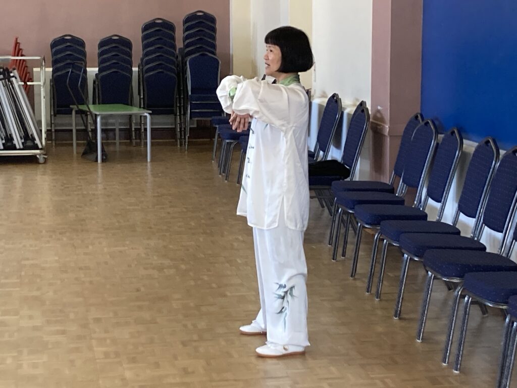 Liu Zi Jue Seminar with Feixia Yu, October 2024