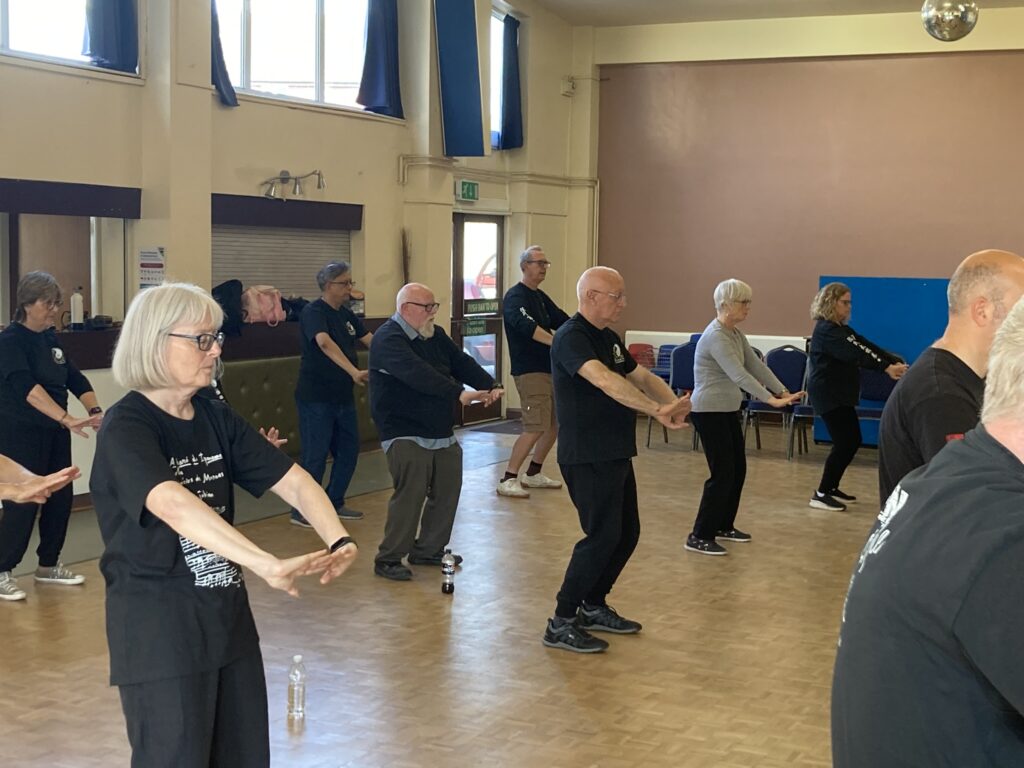 Liu Zi Jue Seminar with Feixia Yu, October 2024