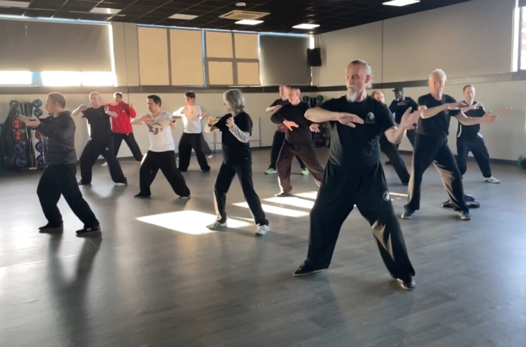 Master Chen Ziqiang Silk Reeling & Zhan Zhuang Seminar, February 2025
