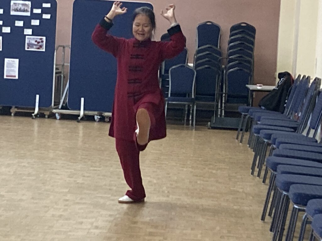 Yi Jin Jing Seminar with Feixia Yue, October 2025