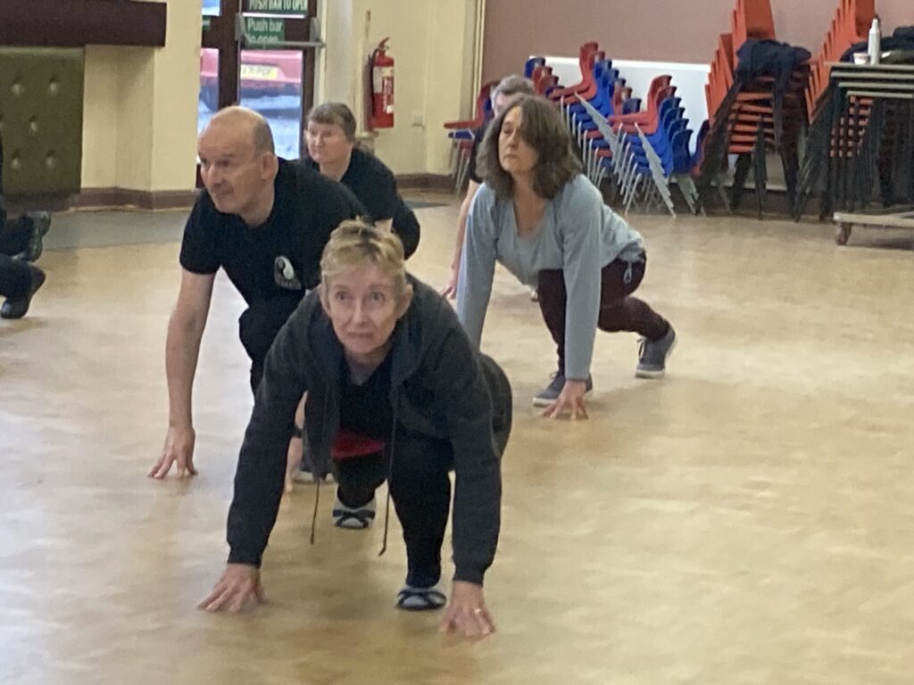 Yi Jin Jing Seminar with Feixia Yue, October 2025